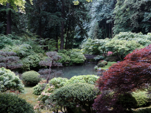 616017 (a): :2660x1995